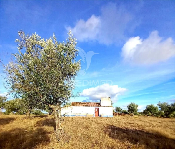 Quinta T1 para Venda em Redondo Foto 2