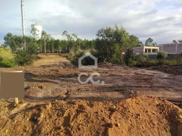Terreno para Venda em Monte Real e Carvide