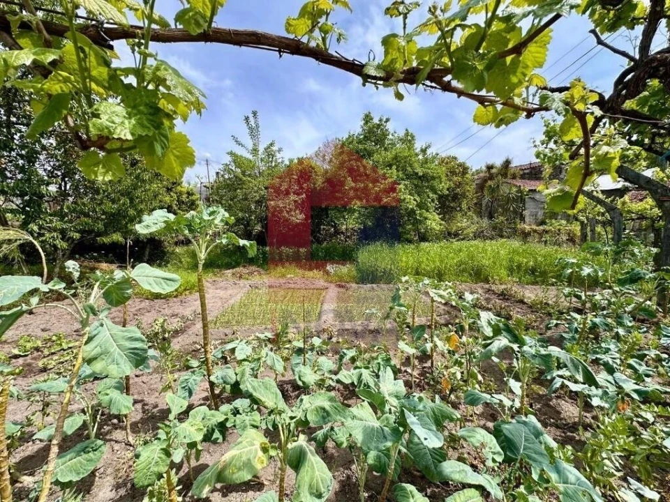 Moradia T2 para Venda em Vila Chã (São João Baptista e Santiago) Foto 17