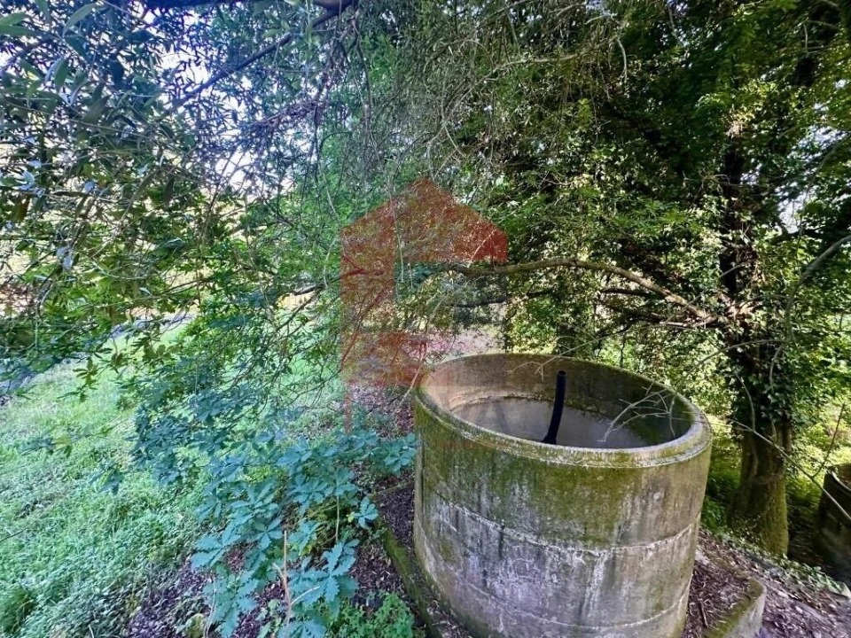 Terreno para Venda em Oriz (Santa Marinha) e Oriz (São Miguel) Foto 5