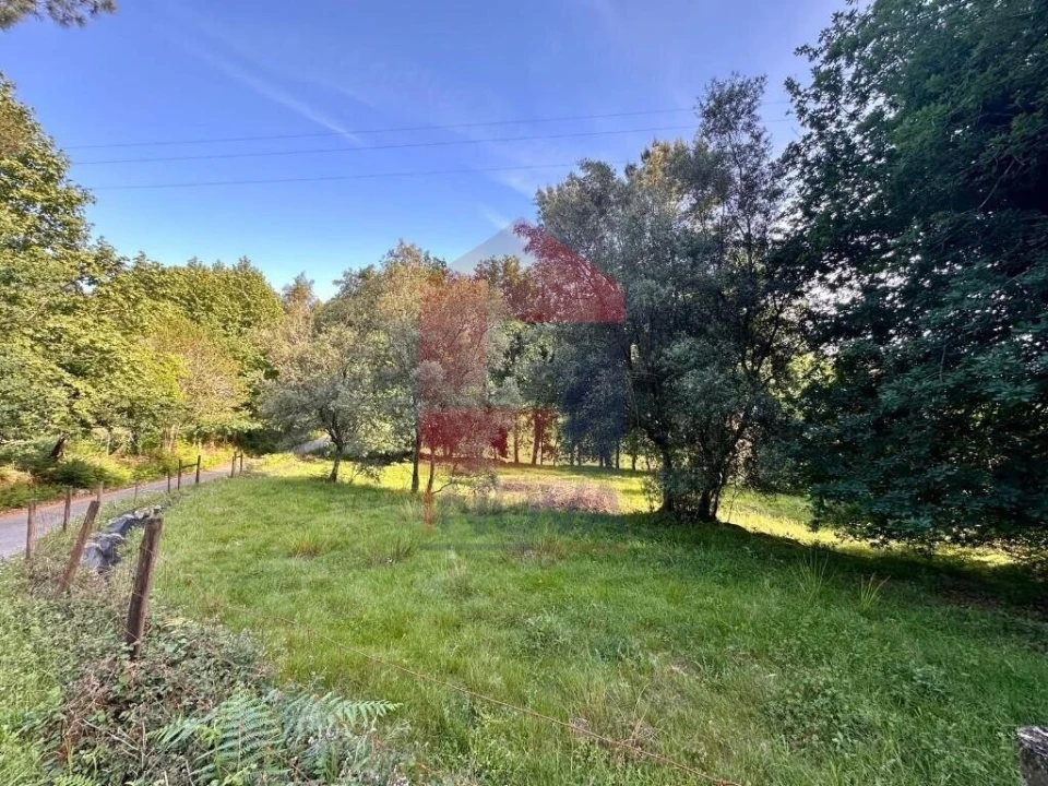 Terreno para Venda em Oriz (Santa Marinha) e Oriz (São Miguel) Foto 2