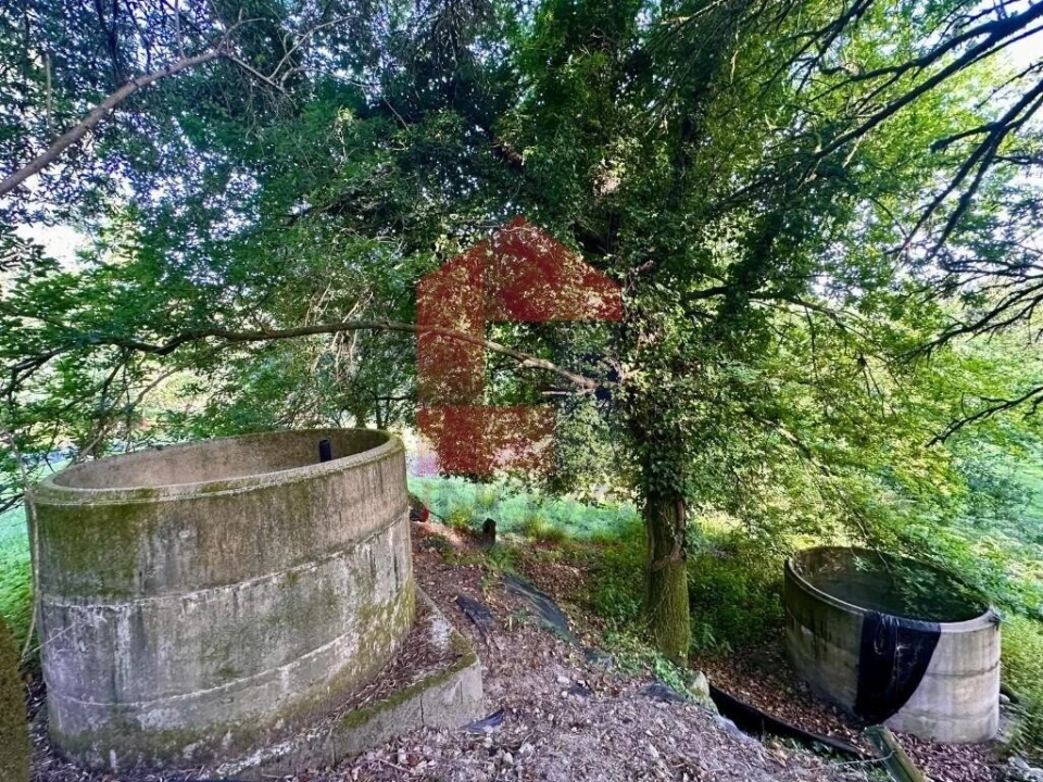 Terreno para Venda em Oriz (Santa Marinha) e Oriz (São Miguel) Foto 4
