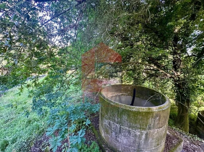Terreno para Venda em Oriz (Santa Marinha) e Oriz (São Miguel) Foto 5