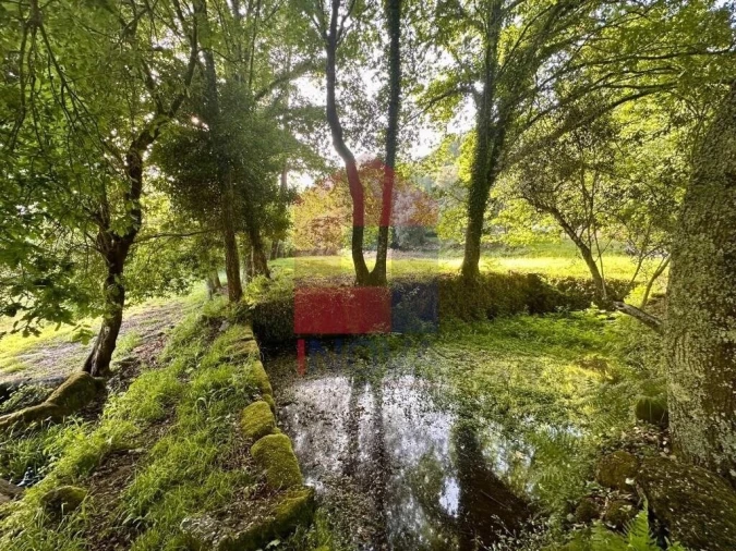 Terreno para Venda em Oriz (Santa Marinha) e Oriz (São Miguel) Foto 12