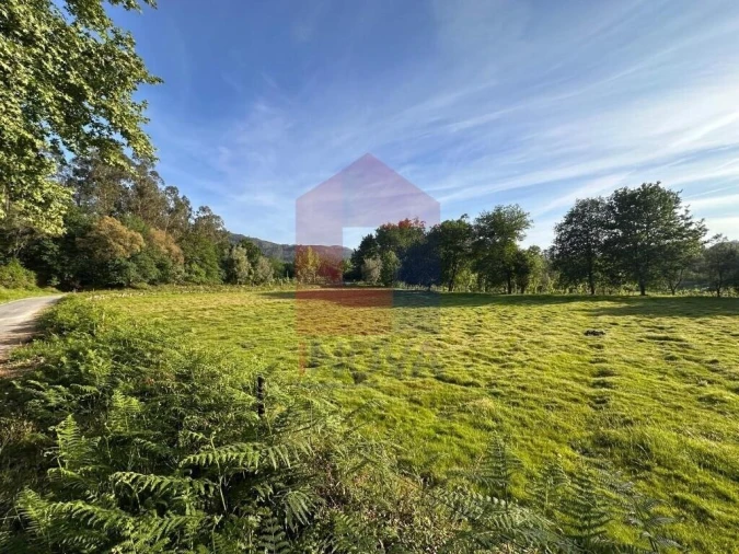 Terreno para Venda em Oriz (Santa Marinha) e Oriz (São Miguel) Foto 21