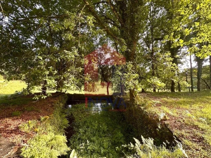 Terreno para Venda em Oriz (Santa Marinha) e Oriz (São Miguel) Foto 10
