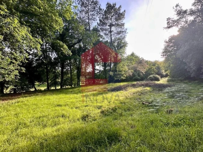Terreno para Venda em Oriz (Santa Marinha) e Oriz (São Miguel) Foto 8