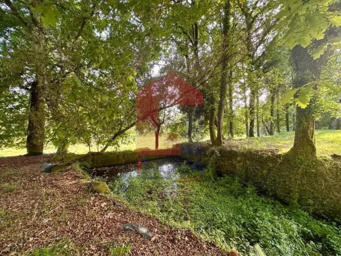 Terreno para Venda em Oriz (Santa Marinha) e Oriz (São Miguel) Foto 11