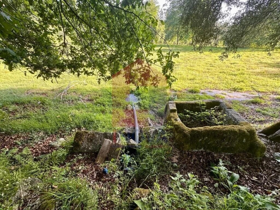 Terreno para Venda em Oriz (Santa Marinha) e Oriz (São Miguel) Foto 13