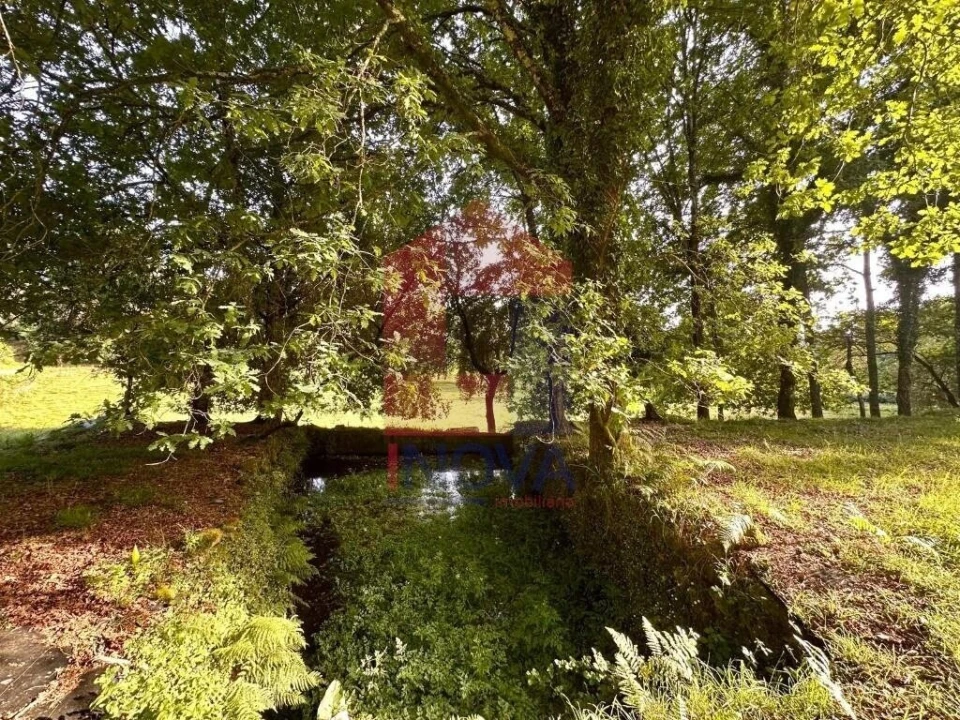 Terreno para Venda em Oriz (Santa Marinha) e Oriz (São Miguel) Foto 10