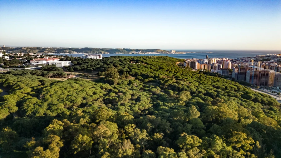 Escritório para Arrendamento em Algés, Linda-A-Velha e Cruz Quebrada-Dafundo Foto 31