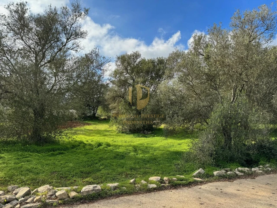 Terreno para Venda em São Brás de Alportel Foto 10