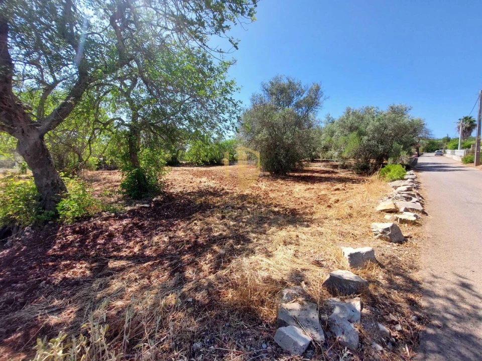 Terreno para Venda em São Brás de Alportel Foto 13