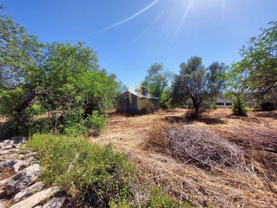 Terreno para Venda em São Brás de Alportel Foto 17