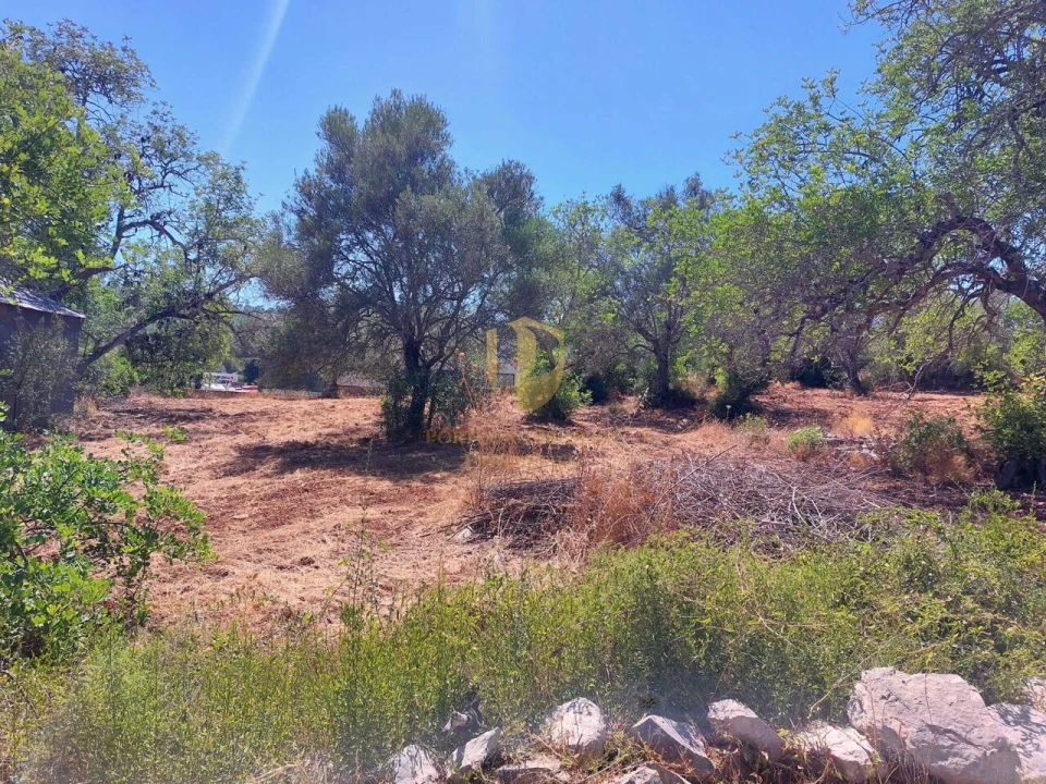 Terreno para Venda em São Brás de Alportel Foto 14