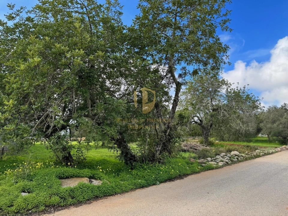 Terreno para Venda em São Brás de Alportel Foto 23
