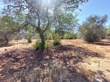 Terreno para Venda em São Brás de Alportel