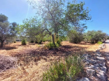 Terreno para Venda em São Brás de Alportel
