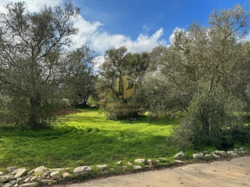 Terreno para Venda em São Brás de Alportel