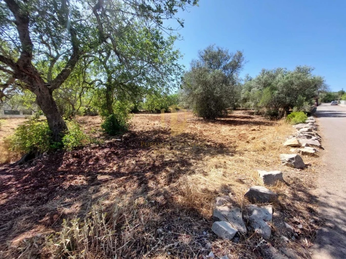 Terreno para Venda em São Brás de Alportel Foto 18