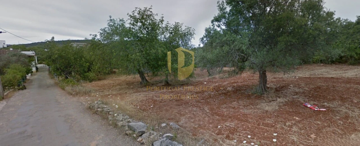 Terreno para Venda em São Brás de Alportel Foto 27