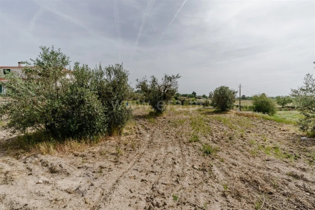 Terreno para Venda em Caria Foto 16