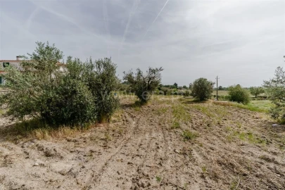 Terreno para Venda em Caria