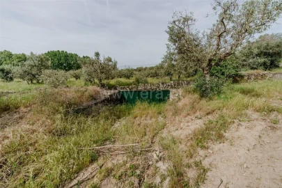 Terreno para Venda em Caria