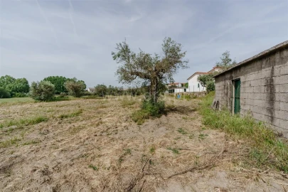 Terreno para Venda em Caria