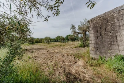 Terreno para Venda em Caria