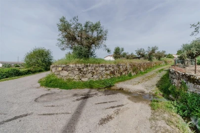Terreno para Venda em Caria