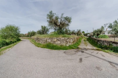 Terreno para Venda em Caria