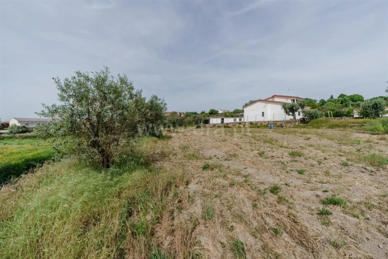 Terreno para Venda em Caria Foto 11