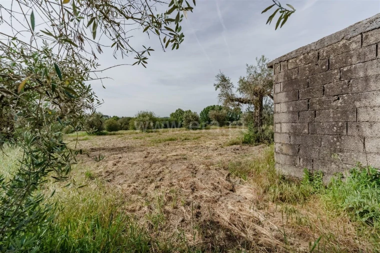 Terreno para Venda em Caria Foto 8