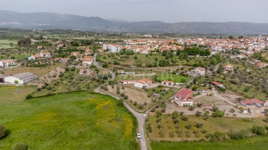 Terreno para Venda em Caria Foto 2