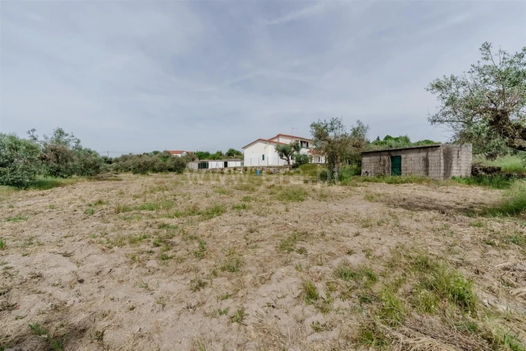 Terreno para Venda em Caria Foto 10