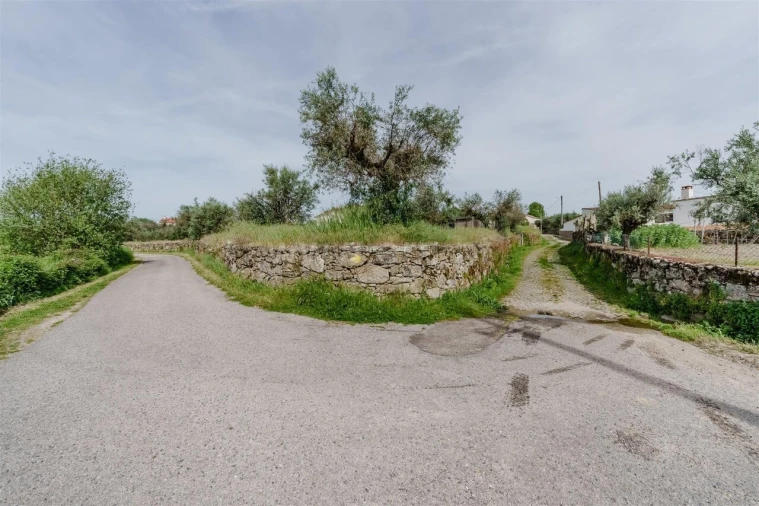 Terreno para Venda em Caria Foto 4