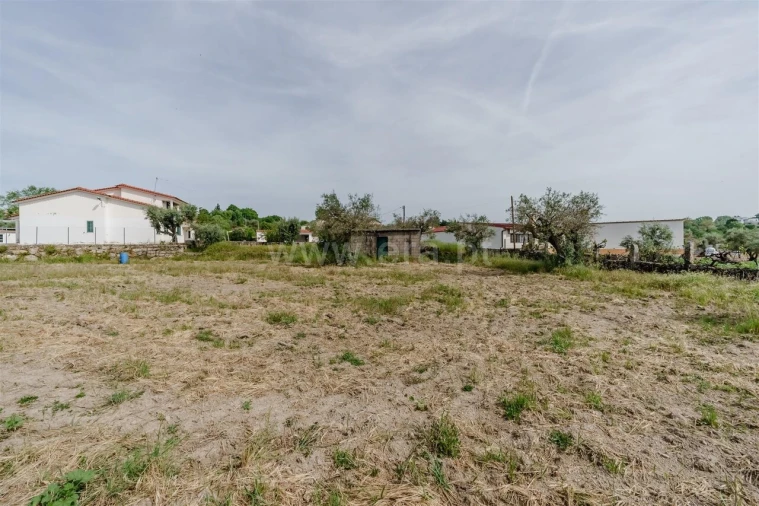 Terreno para Venda em Caria Foto 12