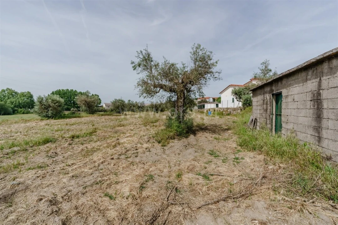 Terreno para Venda em Caria Foto 9