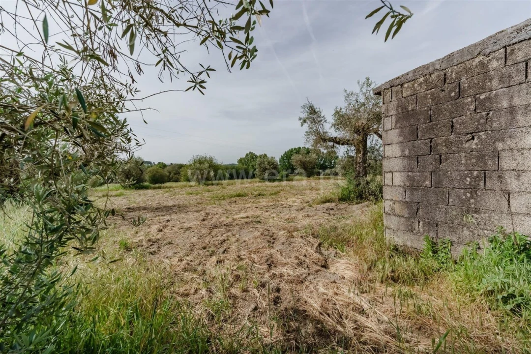 Terreno para Venda em Caria Foto 8