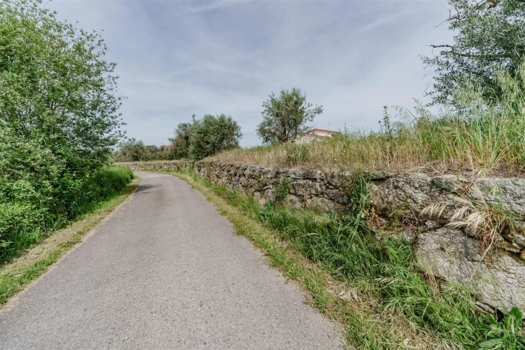 Terreno para Venda em Caria Foto 6