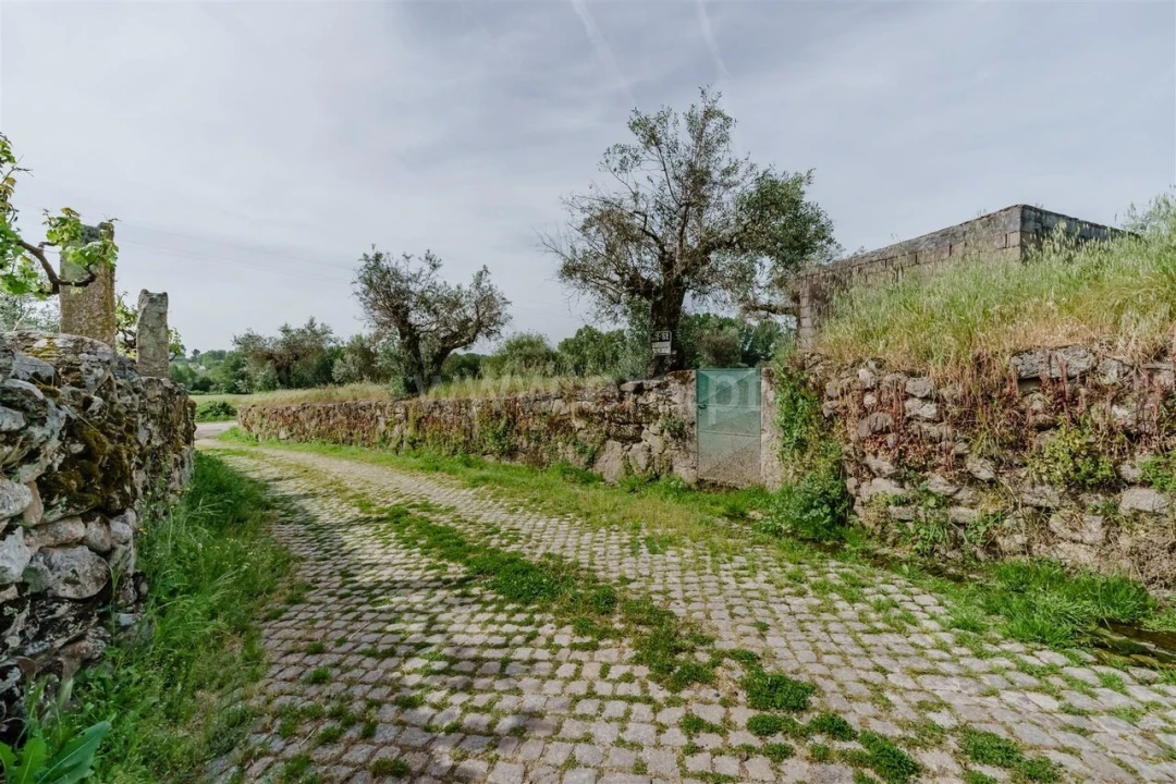Terreno para Venda em Caria Foto 7