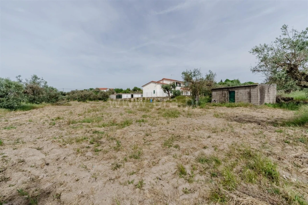 Terreno para Venda em Caria Foto 10