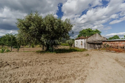 Quinta T1 para Venda em Fundão, Valverde, Donas, A. Joanes, A. Nova Cabo