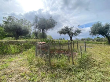 Quinta T0 para Venda em Fundão, Valverde, Donas, A. Joanes, A. Nova Cabo