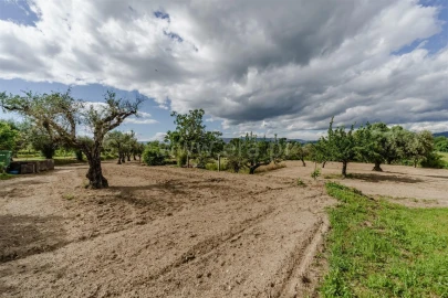 Quinta T1 para Venda em Fundão, Valverde, Donas, A. Joanes, A. Nova Cabo