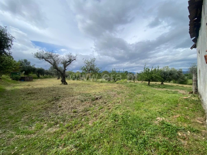 Quinta T0 para Venda em Fundão, Valverde, Donas, A. Joanes, A. Nova Cabo Foto 7