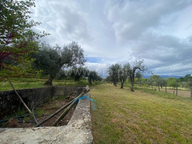 Quinta T0 para Venda em Fundão, Valverde, Donas, A. Joanes, A. Nova Cabo Foto 4