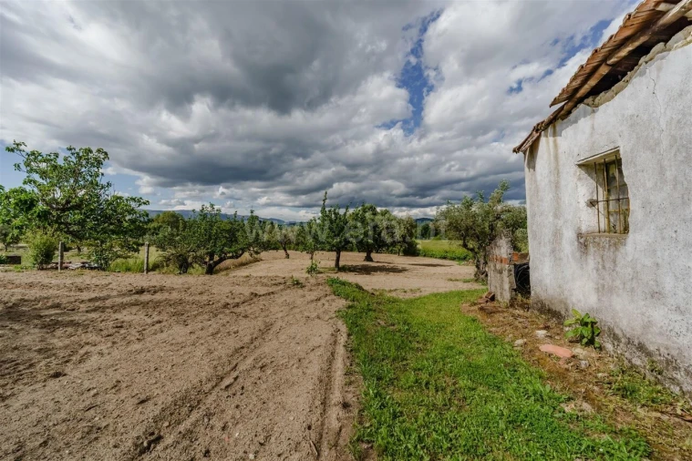Quinta T1 para Venda em Fundão, Valverde, Donas, A. Joanes, A. Nova Cabo Foto 10