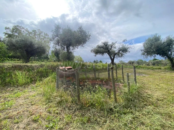 Quinta T0 para Venda em Fundão, Valverde, Donas, A. Joanes, A. Nova Cabo Foto 6